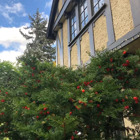 Guest house The Ambassador 3*