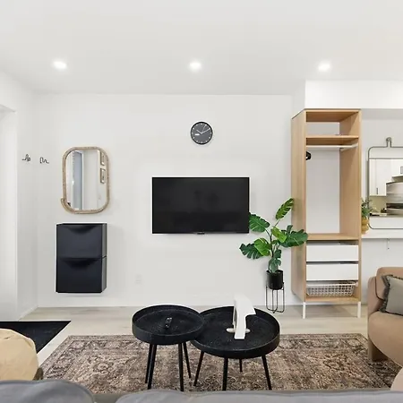 New Modern 1br Basement Near Downtown Free Parking Apartment Ottawa