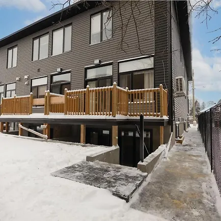 New Modern 1br Basement Near Downtown Free Parking Apartment *
