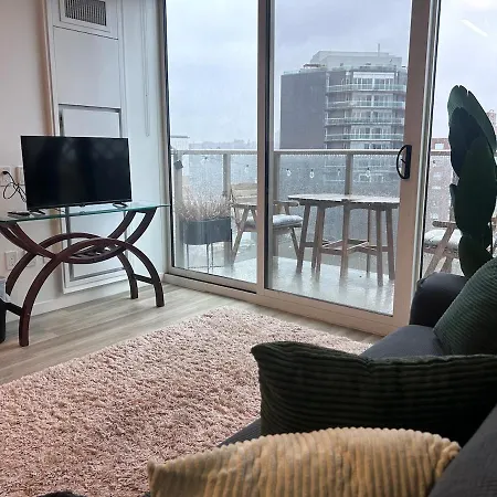 Modern In The Heart Of Westboro Apartment