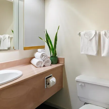 Cartier Place Hotel 3*