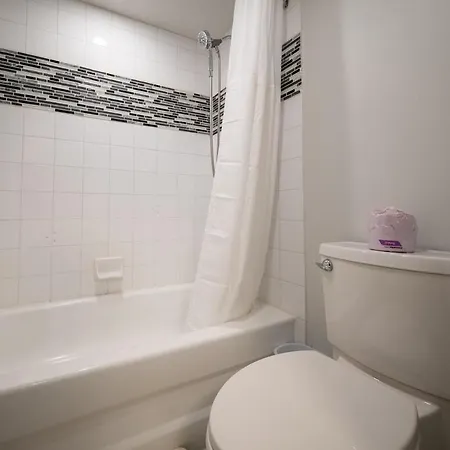Apartment Modern In The Heart Of Ottawa