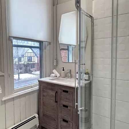 Charming Loft In Sandy Hill Near U * Ottawa