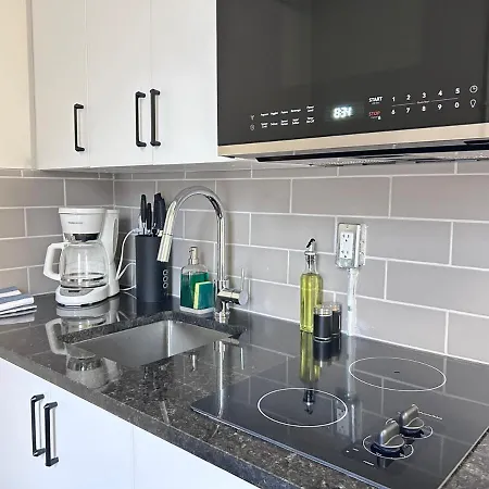 Charming Loft In Sandy Hill Near U Ottawa