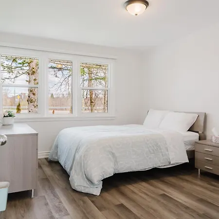 Apartment Beautiful Single Family In *