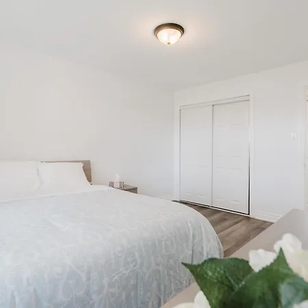 Apartment Beautiful Single Family In *