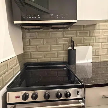Cozy 1br Unit Steps To Uottawa * Ottawa