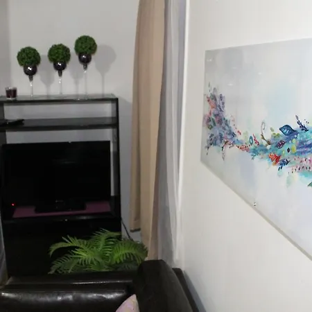 Adib Apartments - 931 Pinecrest Rd, Unit B *