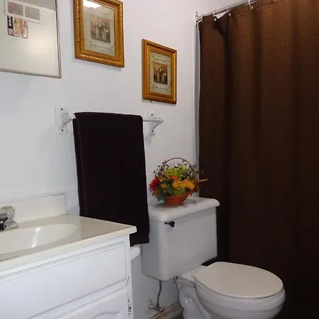 Adib Apartments - 931 Pinecrest Rd, Unit B * Ottawa
