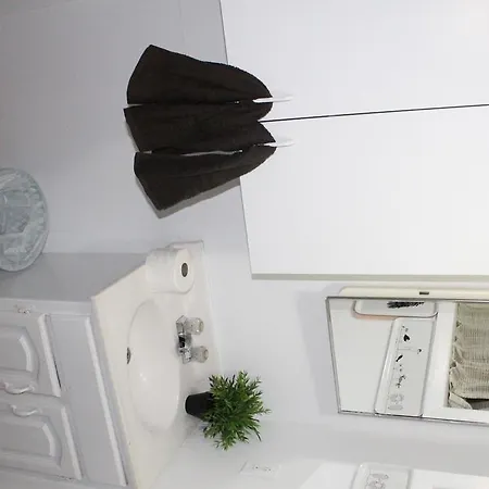 Adib Apartments - 931 Pinecrest Rd, Unit B