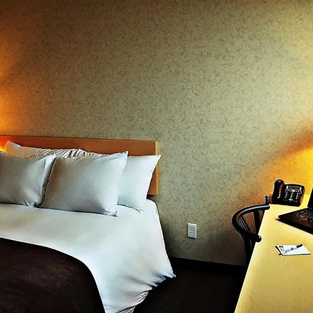 & Conference Centre - Downtown 3* Ottawa