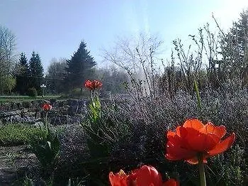 Country View Manor