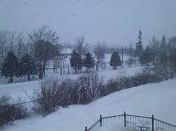 Guest house Country View Manor 3*