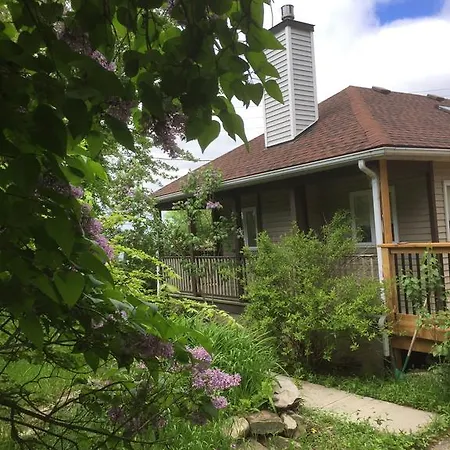 Guest house Pine Trees View 3*