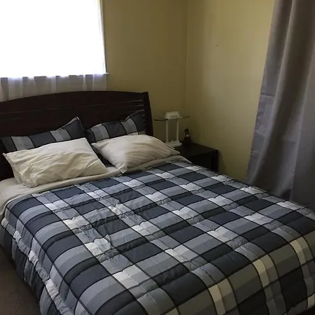 Pine Trees View Guest house 3*