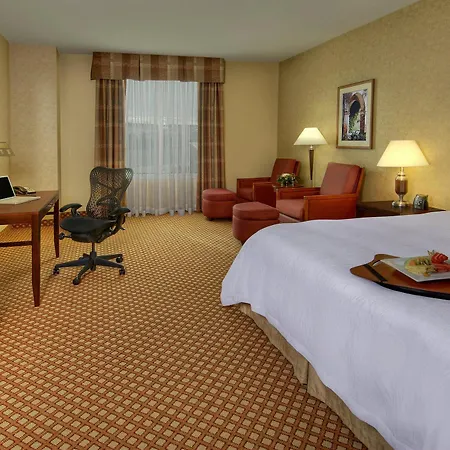 Hotel Hilton Garden Airport 3*