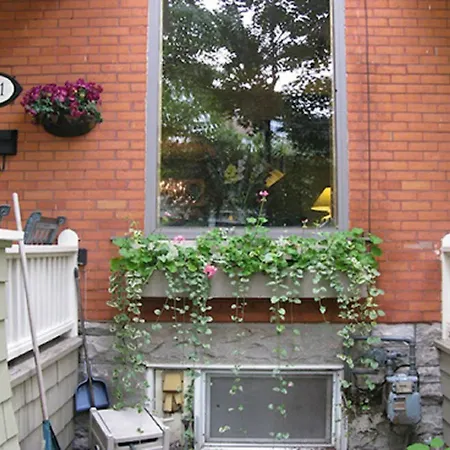 Avalon Bed & Breakfast 4*