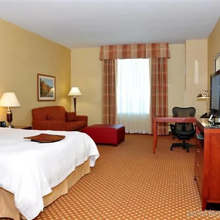 Hilton Garden Airport Hotel 3*