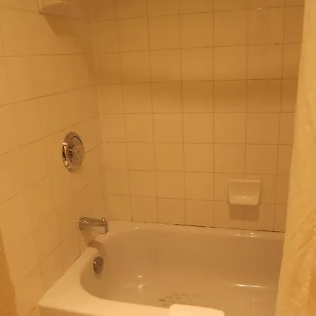 Plaza Downtown 3*