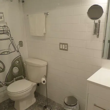 Apartment Fantastic And Modern Downtown 1-bed Basement Apt., Parking Wi-fi And Netflix Included Ottawa