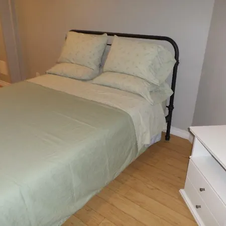 Fantastic And Modern Downtown 1-bed Basement Apt., Parking Wi-fi And Netflix Included Ottawa