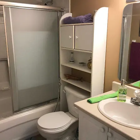 Self Check-in Spacious With Full Kitchen Apartment Ottawa