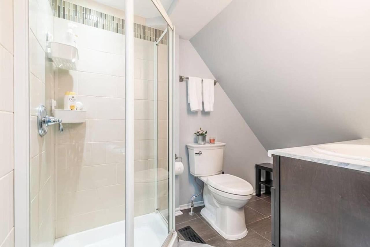 Newly Renovated - Modern 1br With Rooftop Terrace! Apartment *