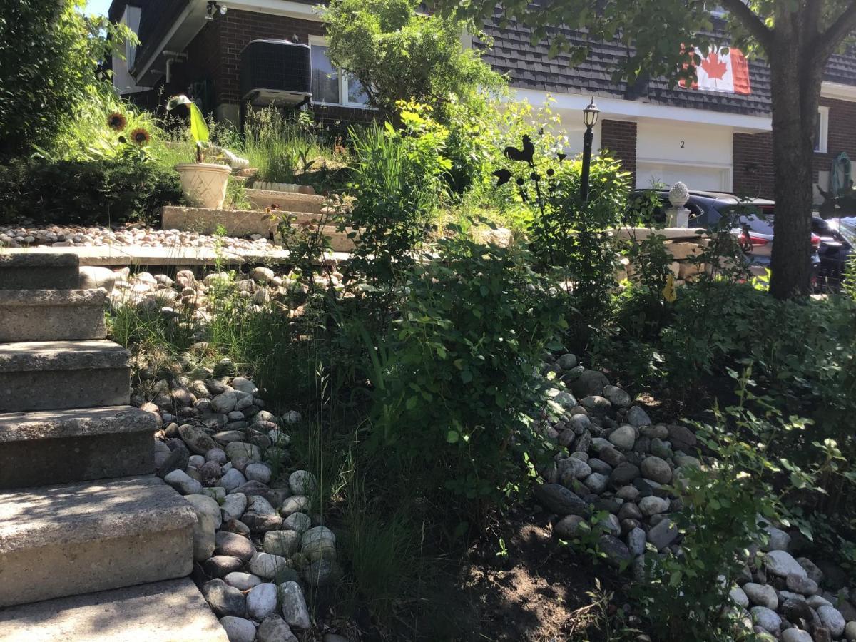 Guest house Mariya Studio