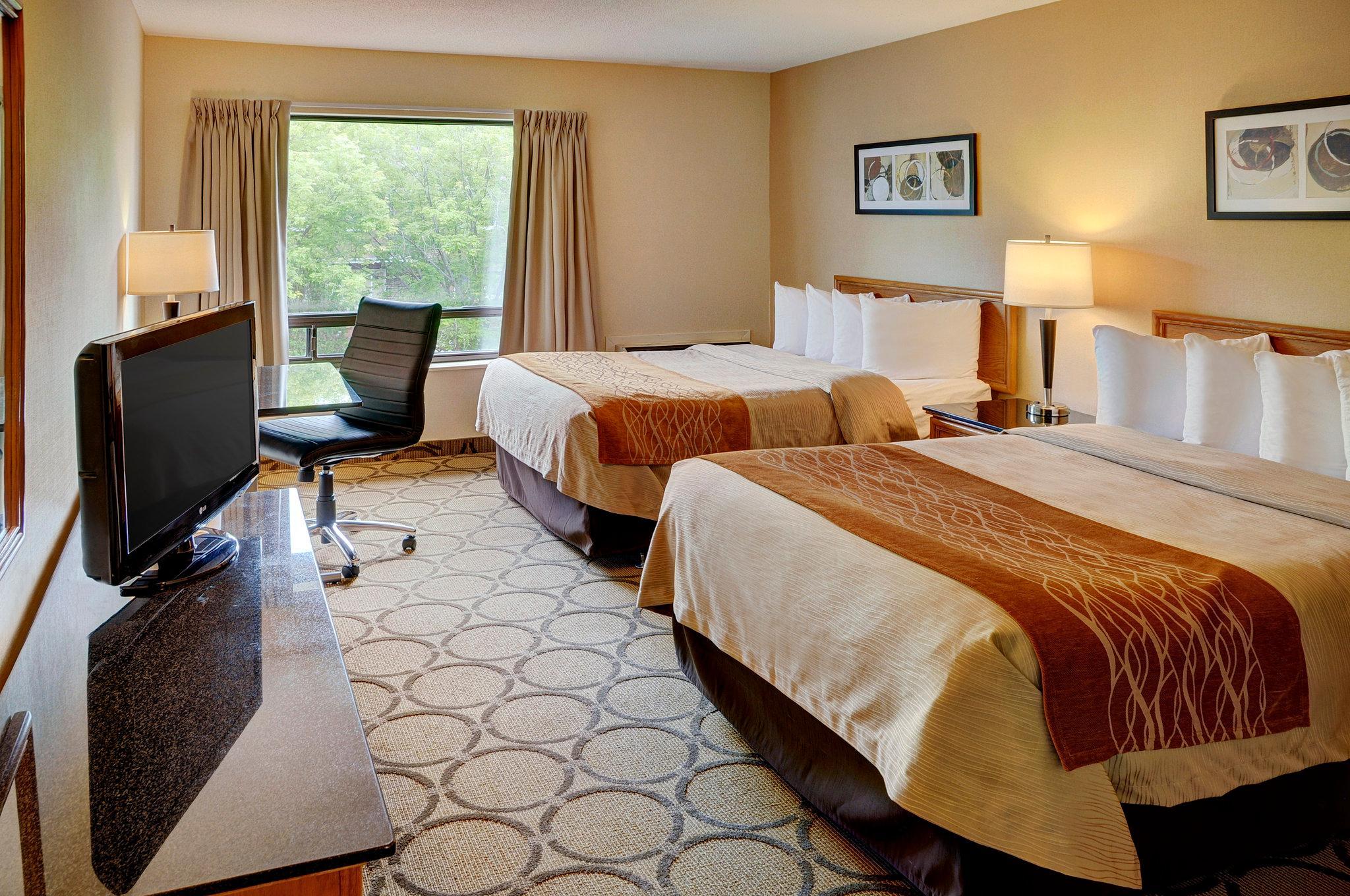 Comfort 3*