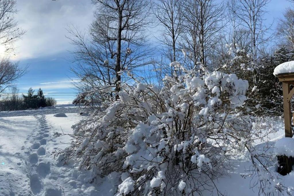 Holiday home Cozy 4-bedroom Haven For Relaxing Getaways Ottawa