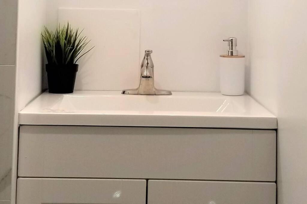 Charming Studio With Parking, Netflix, Full Kitchen - Close To Algonquin College *