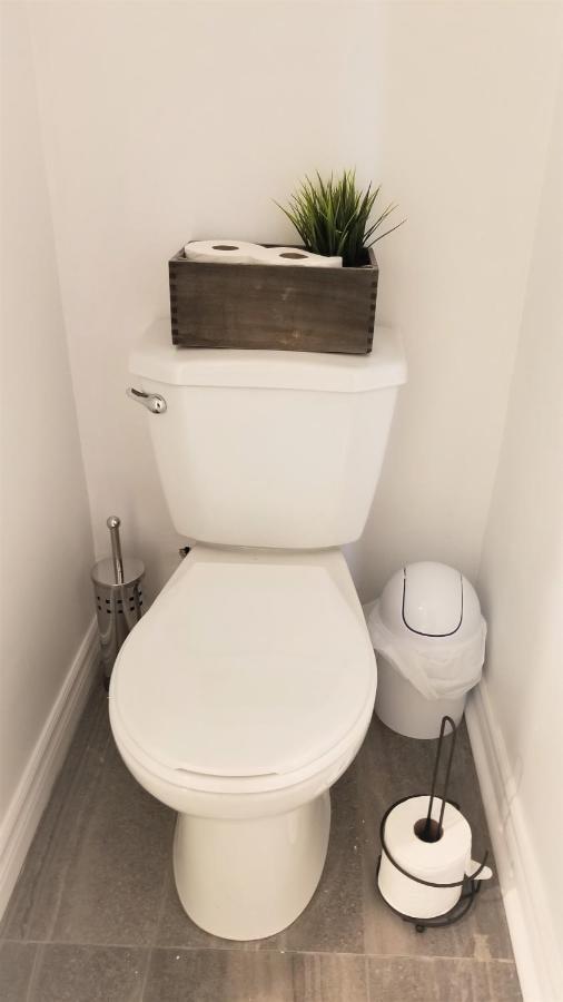 Charming Studio With Parking, Netflix, Full Kitchen - Close To Algonquin College * Ottawa