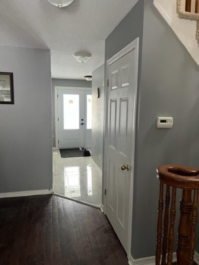 41 Kathleen Cr