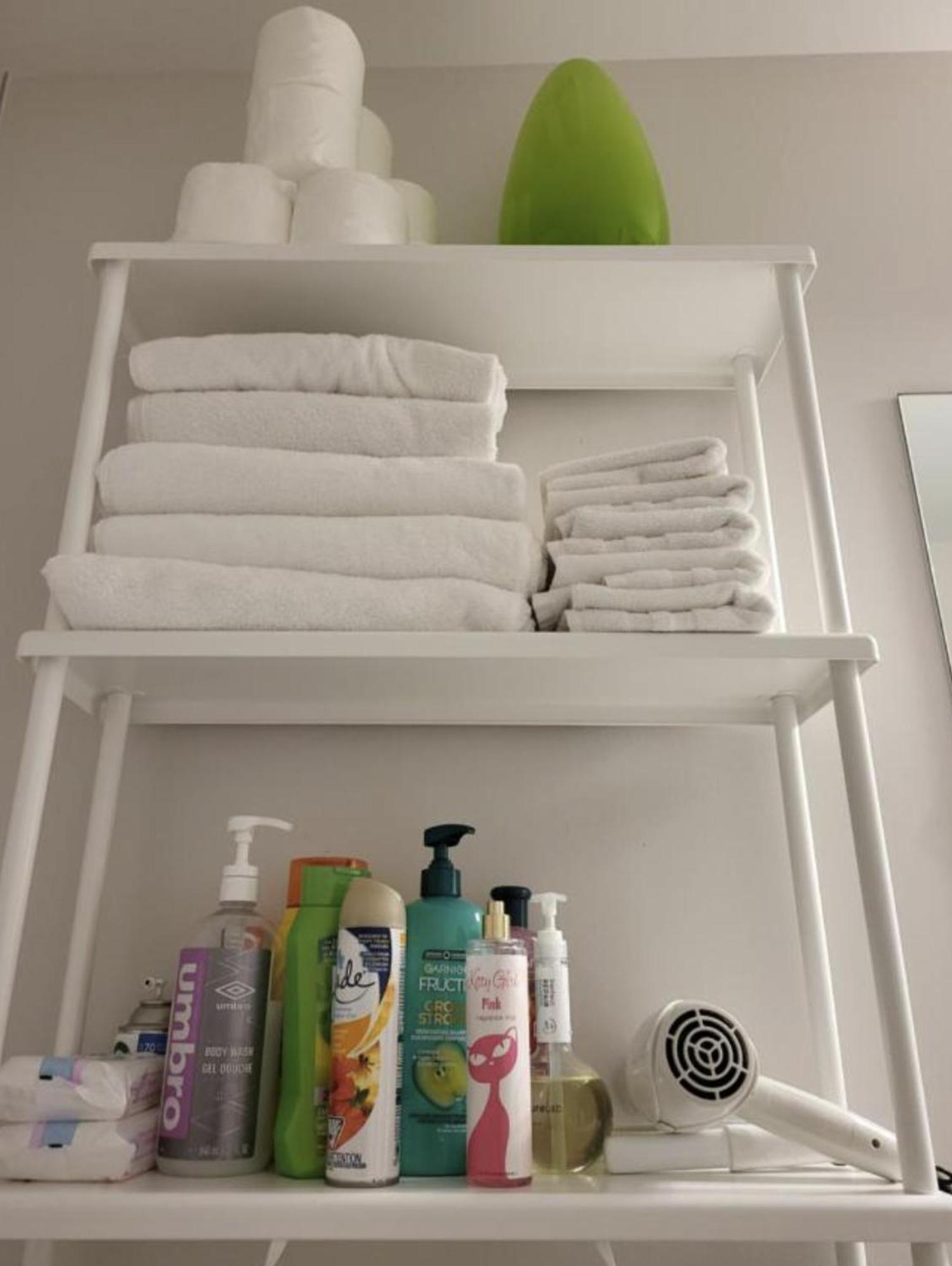 Pleasure Ride Ottawa