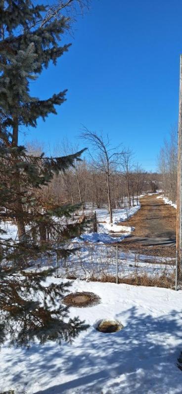 Nature Retreat In The City * Ottawa