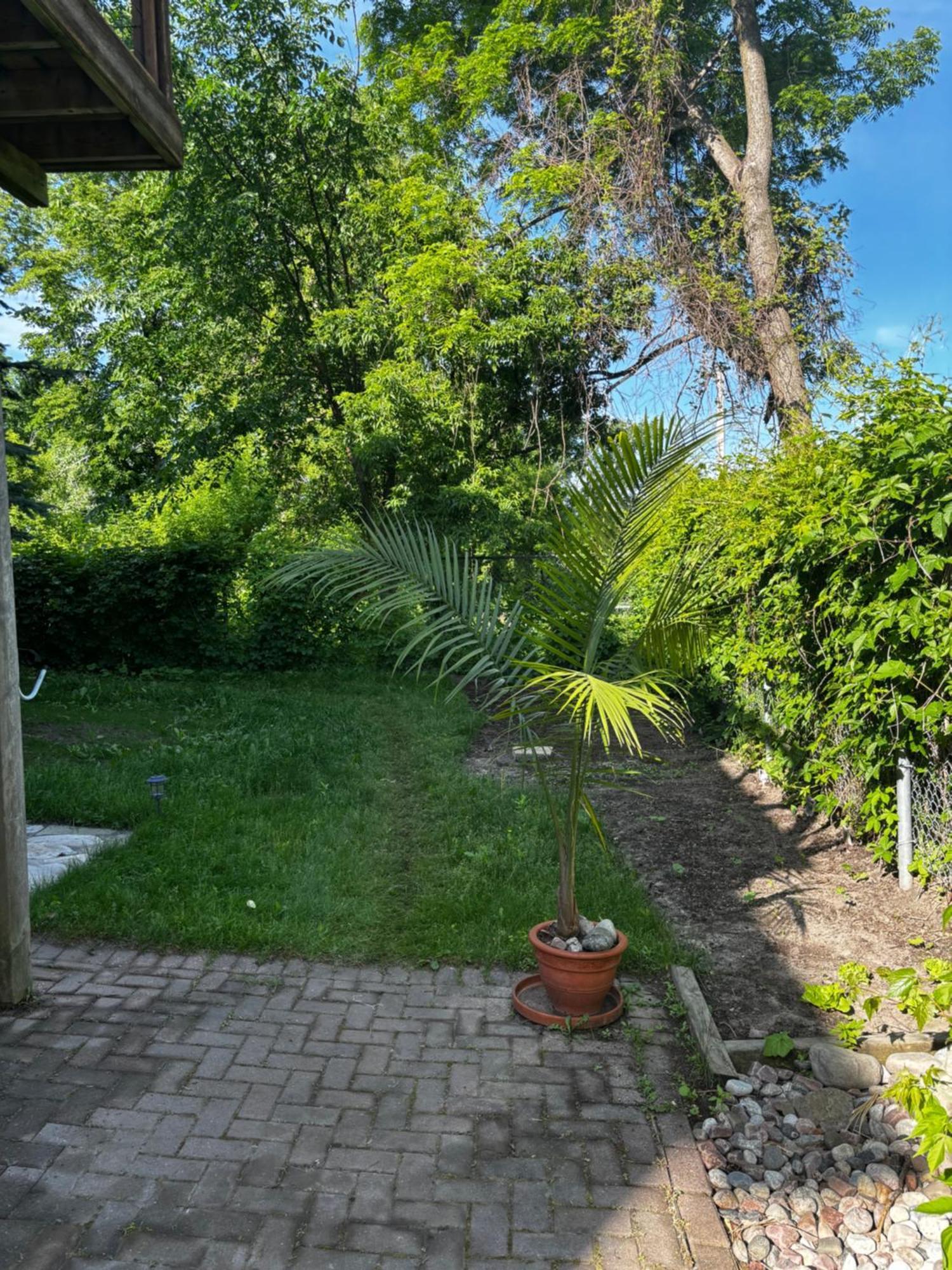 Nature Retreat In The City Ottawa