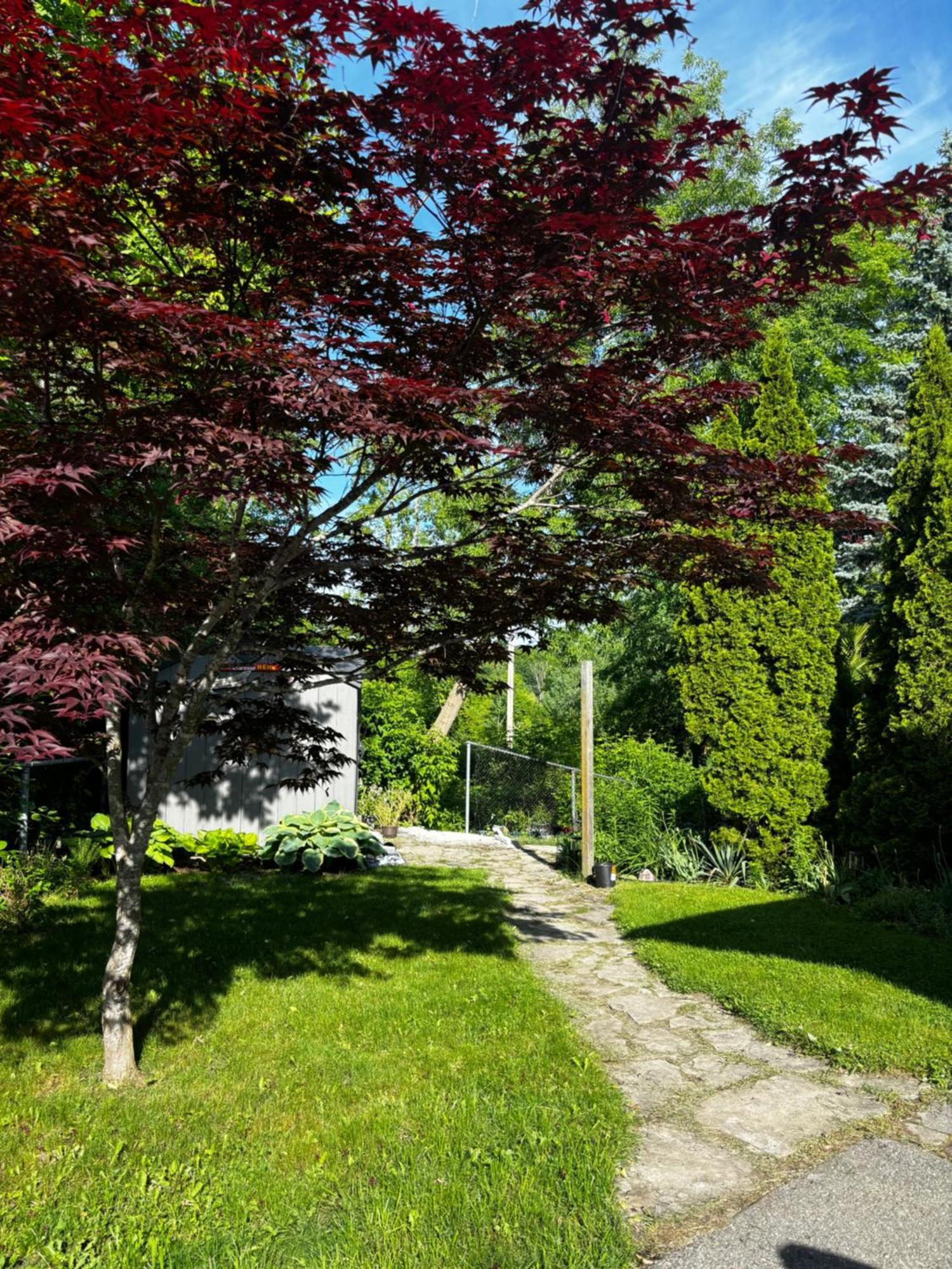 Nature Retreat In The City * Ottawa