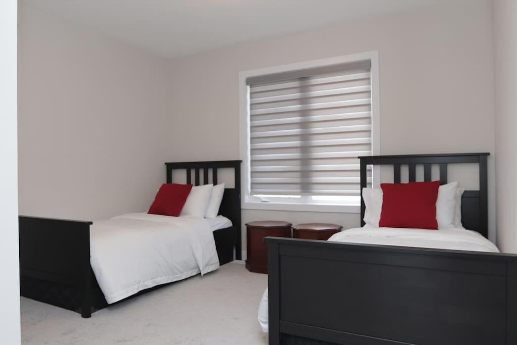 The Pizzicato Comfort And Convenience Close To Downtown * Ottawa