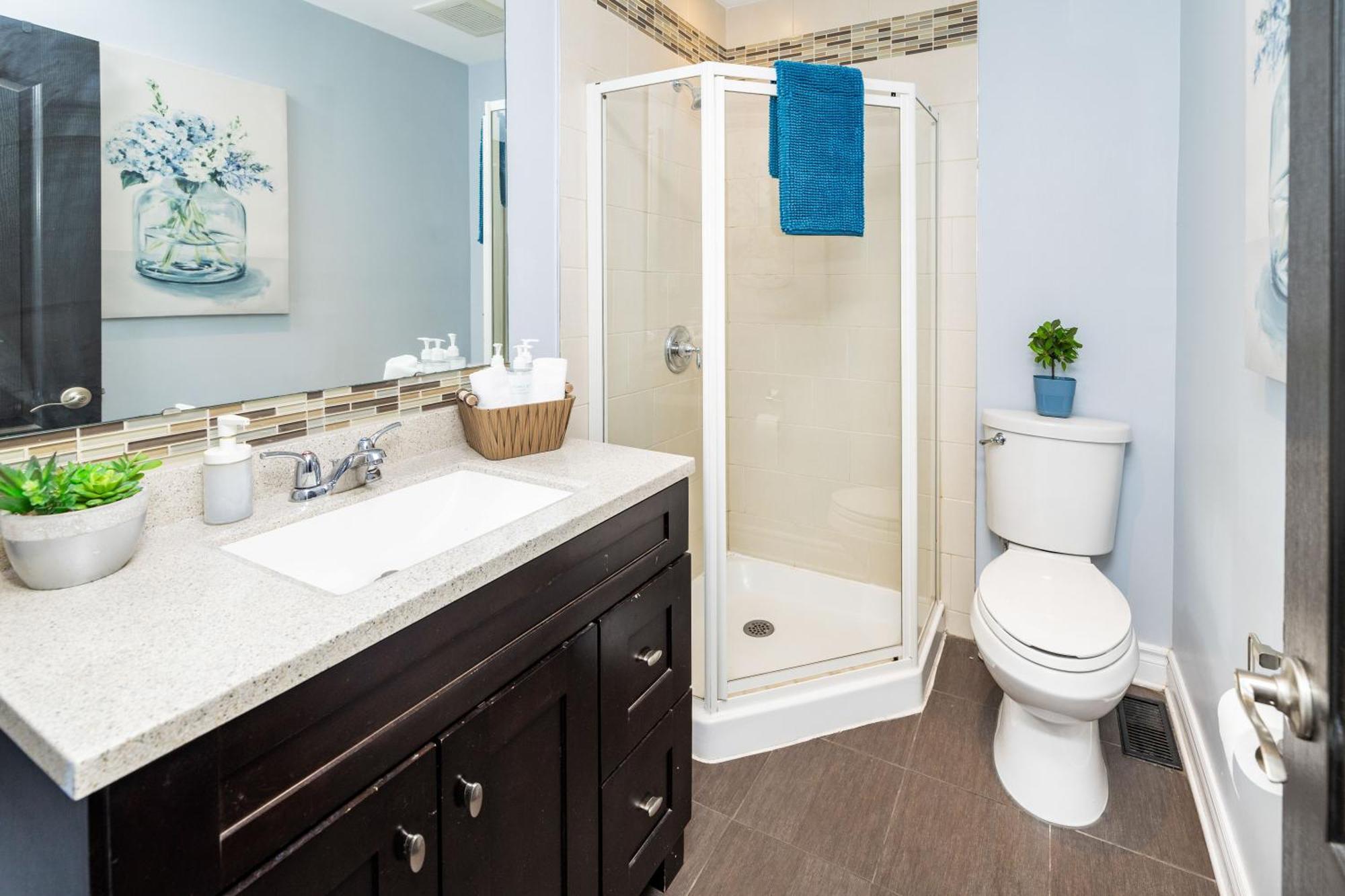 Apartment Pet Friendly - 1br Newly Renovated