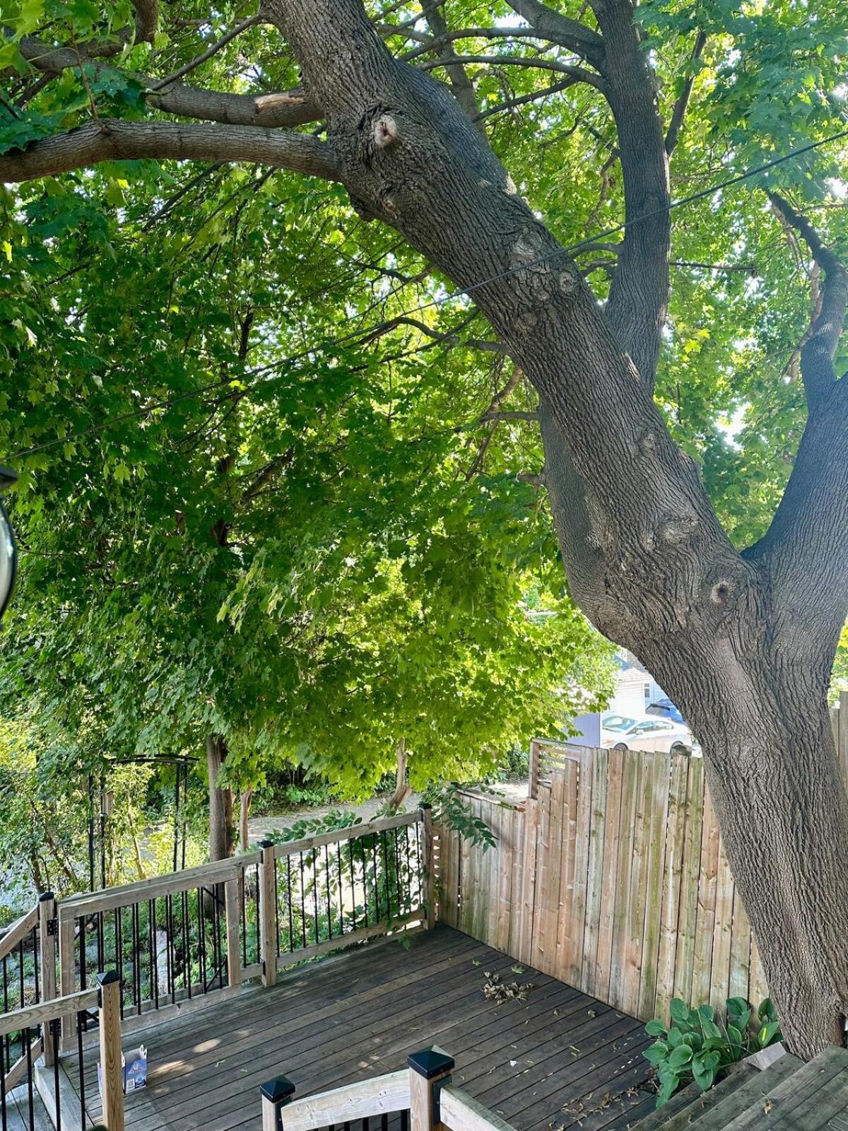 The Dows Retreat With 2 Car Driveway Ottawa