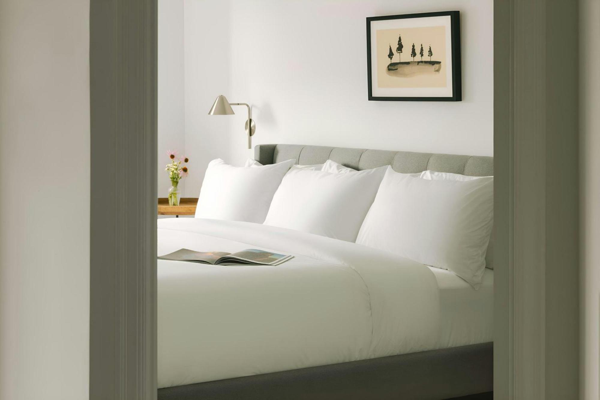 Sonder By Marriott Bonvoy The O'Connor Apartments Downtown Ottawa