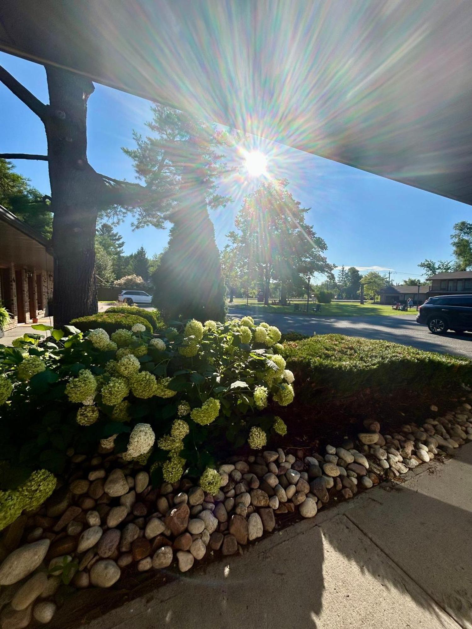 Bed & Breakfast Rideau Heights