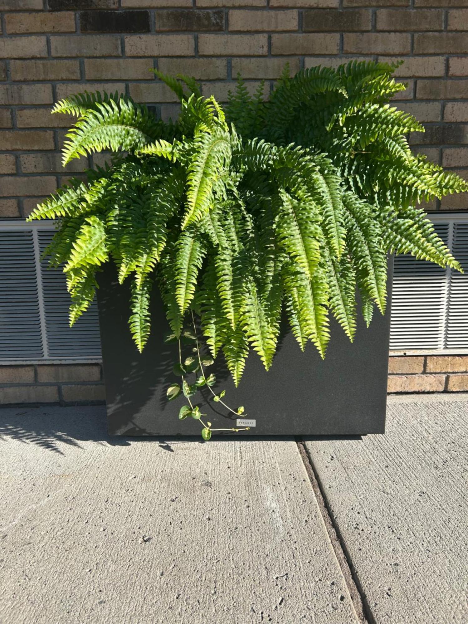 Bed & Breakfast Rideau Heights Ottawa