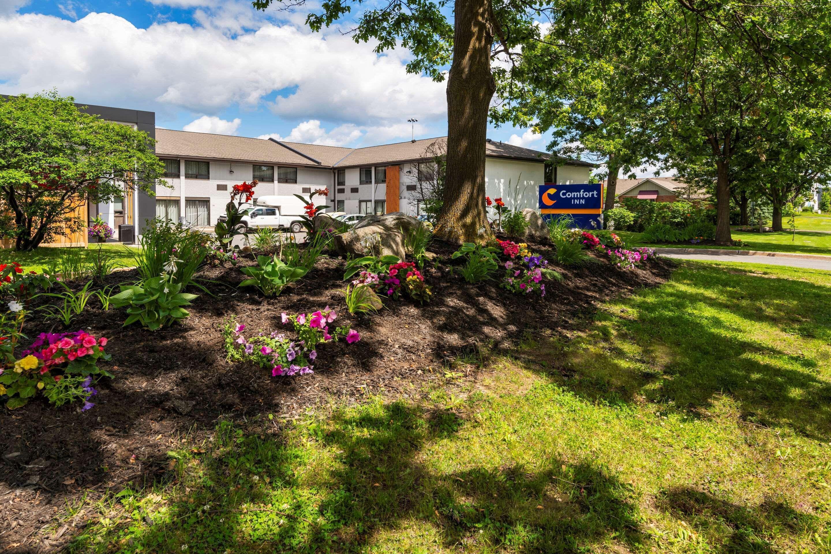 Comfort Kanata West