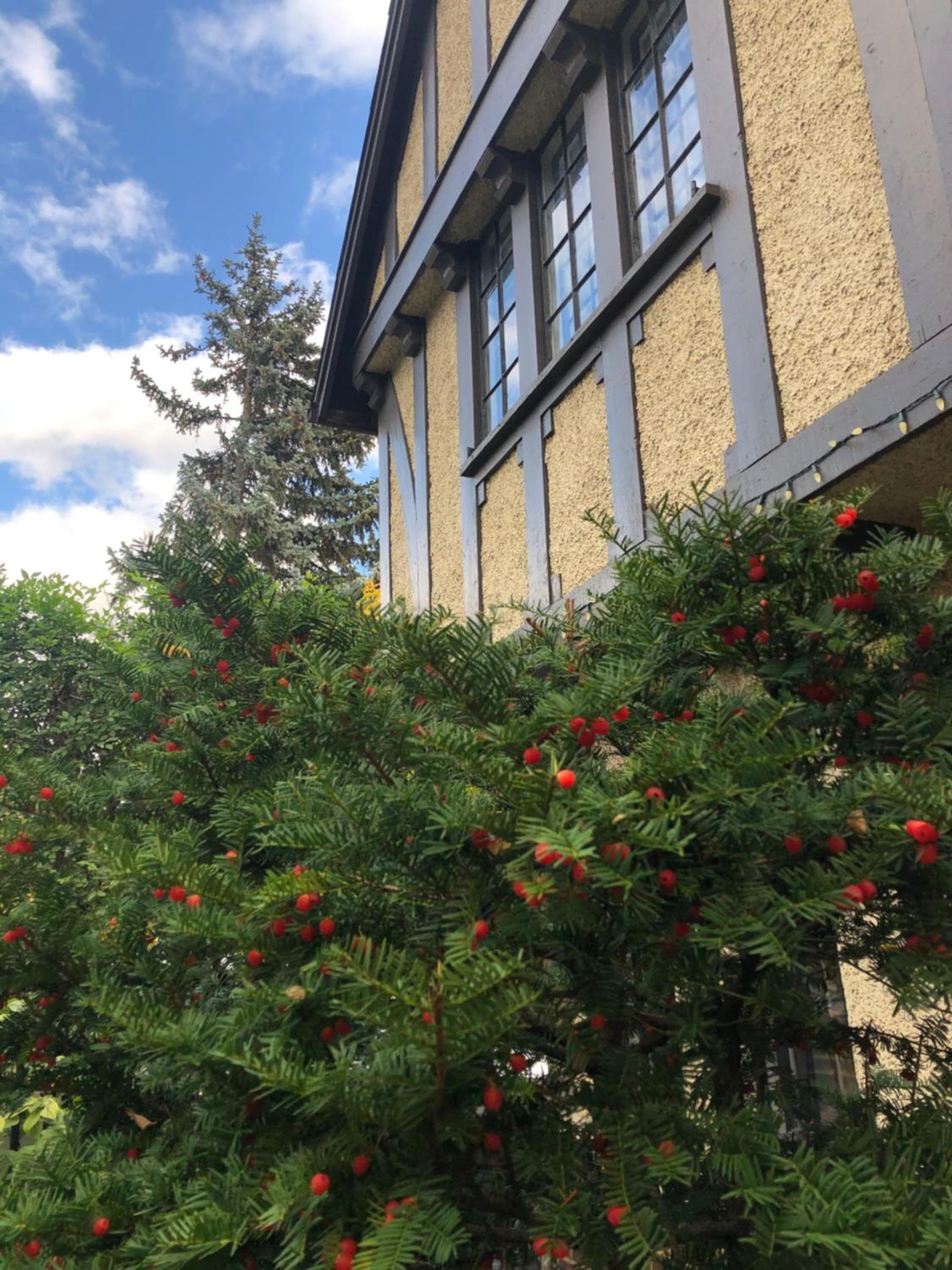 Bed & Breakfast The Ambassador 3*