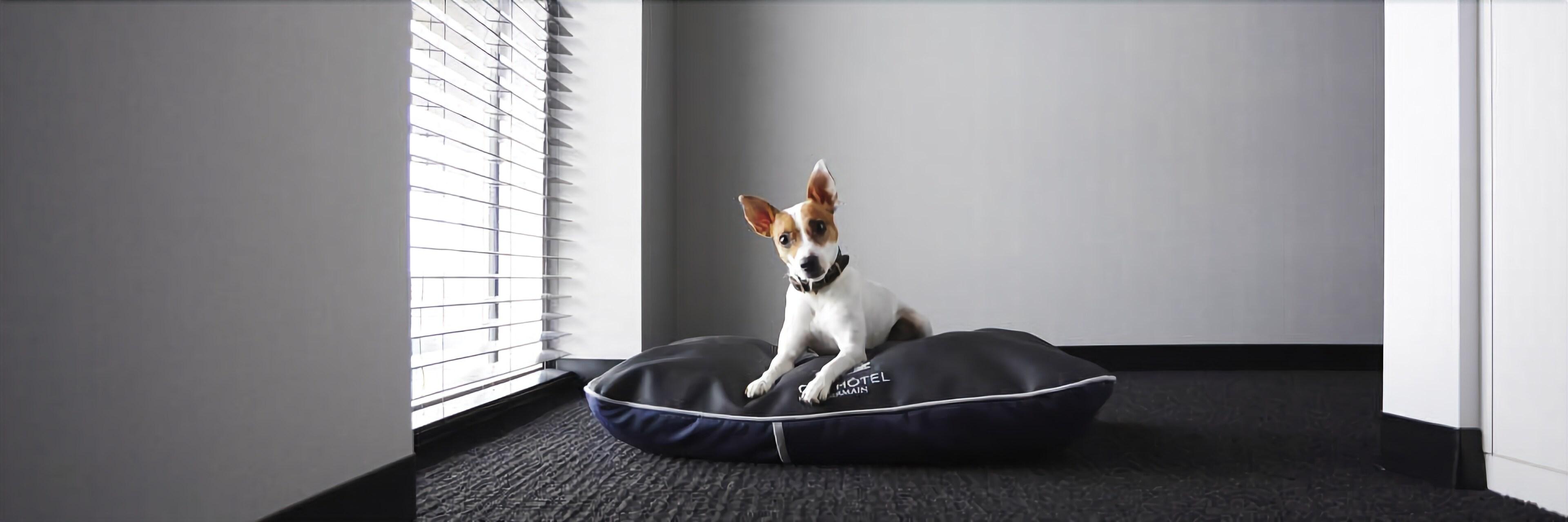 Alt Downtown 3* Ottawa