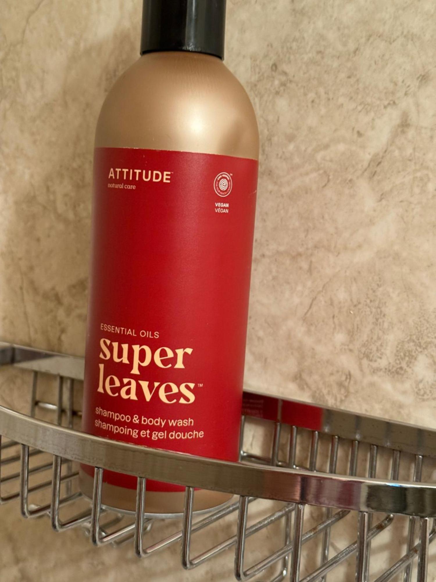 The Century House 3* Ottawa