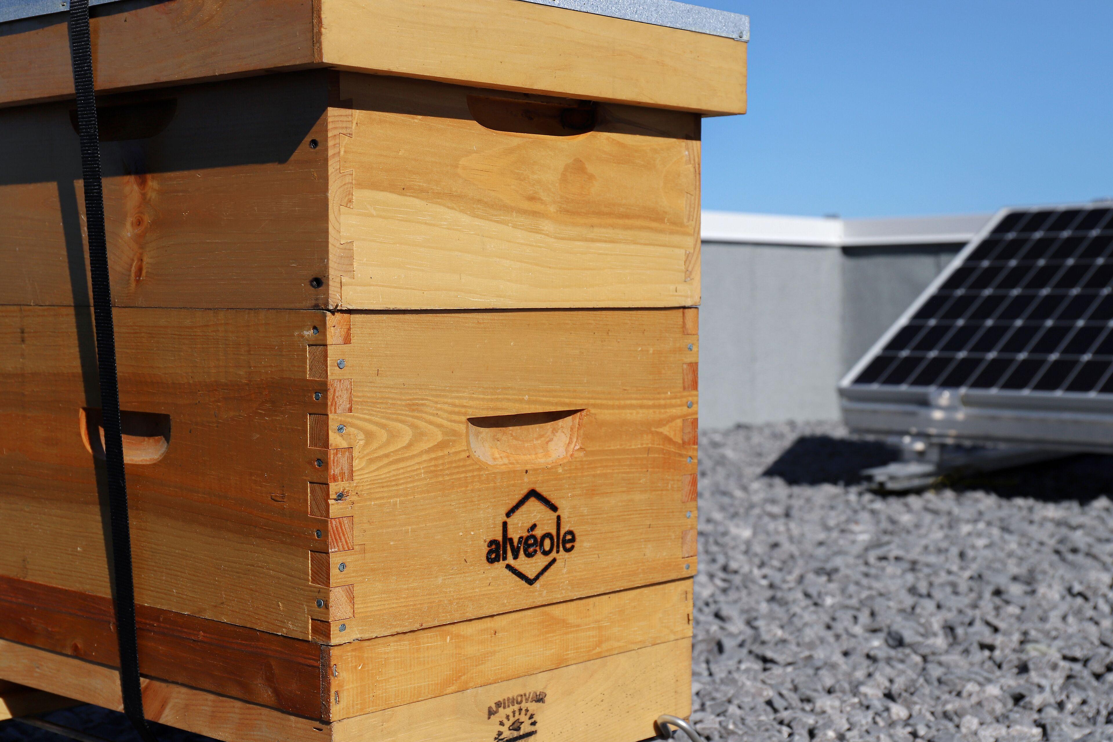 Hyatt Place West Ottawa