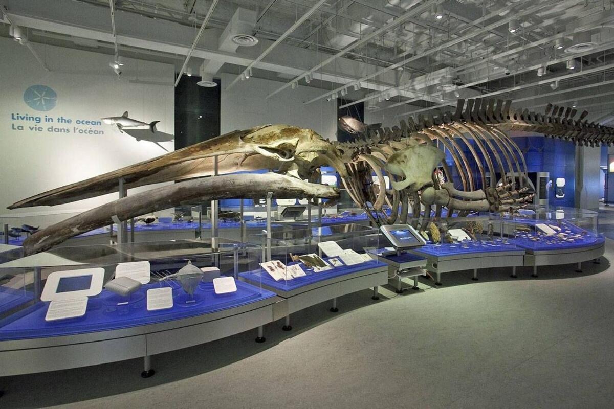 Spacious Family In Barrhaven Villa Ottawa