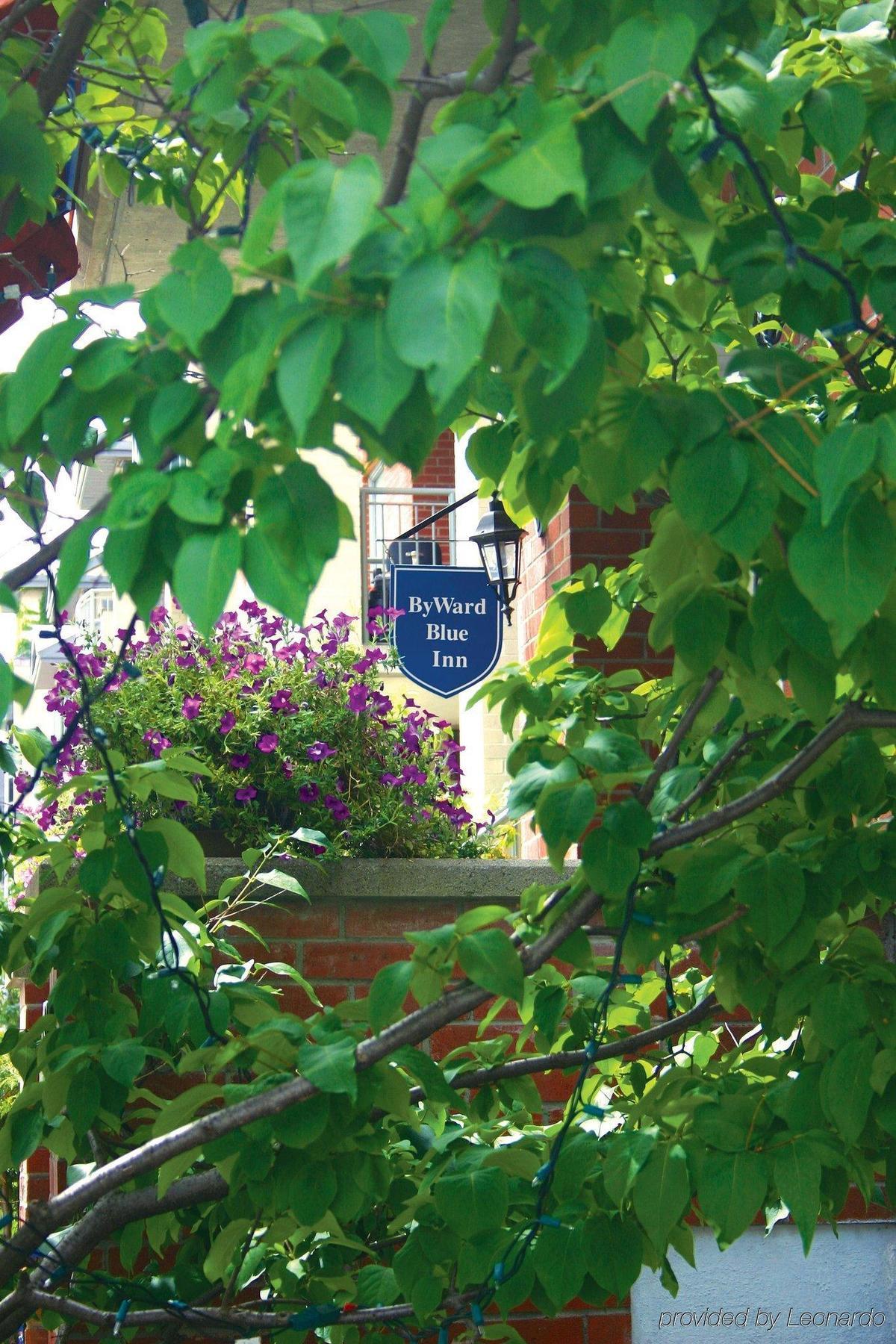 Byward Blue Hotel 3*